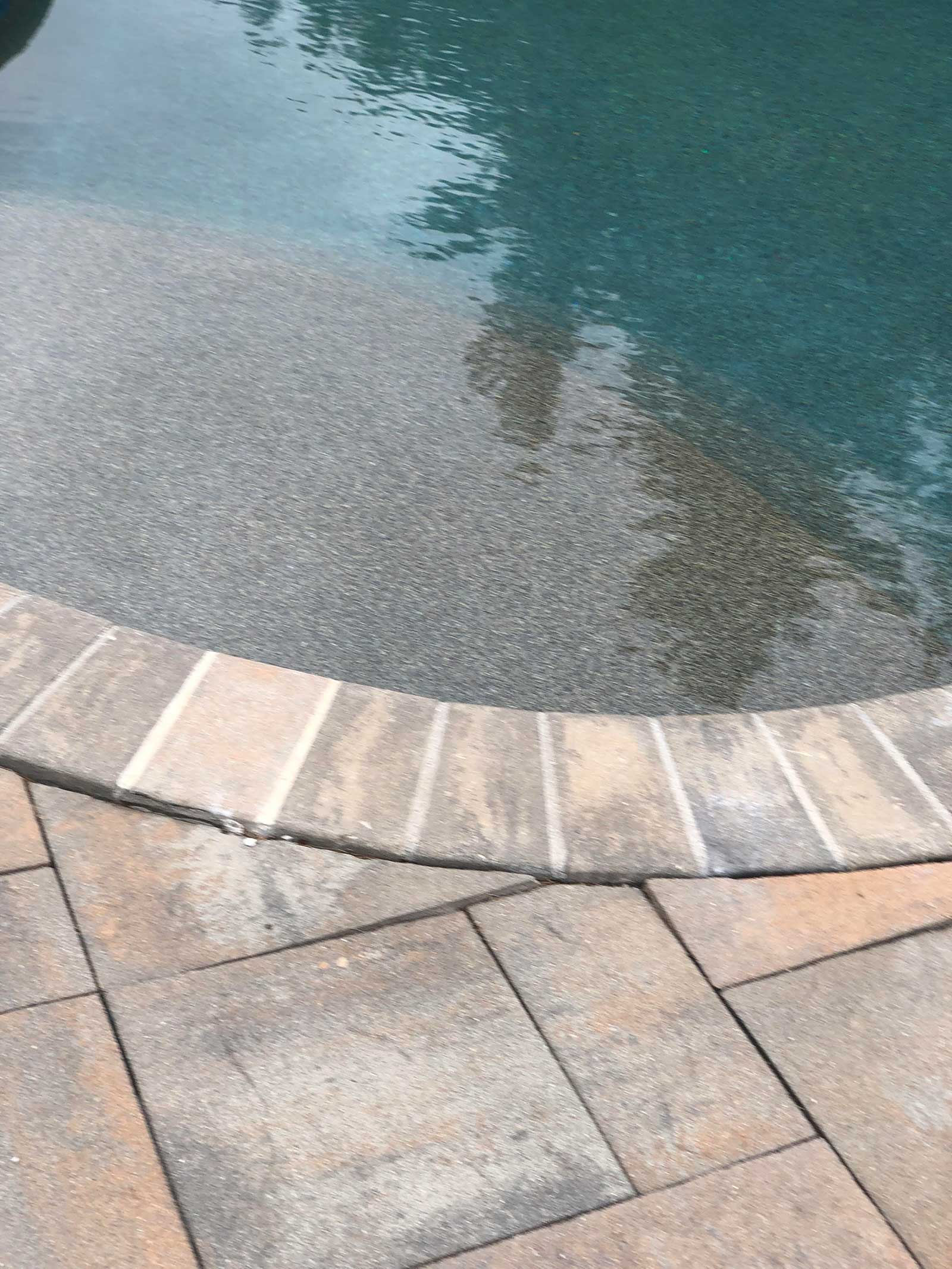 Completed commercial swimming pool plaster and tile renovation