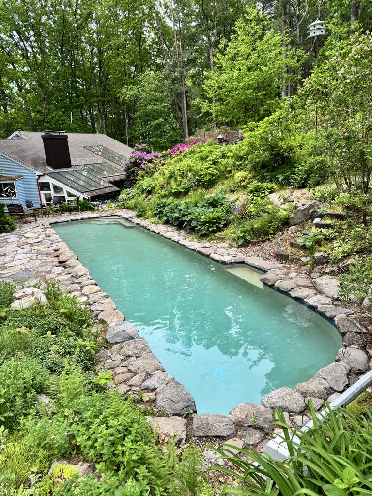 Natural-style swimming pool with turquoise water, rustic stone coping, and lush landscaping